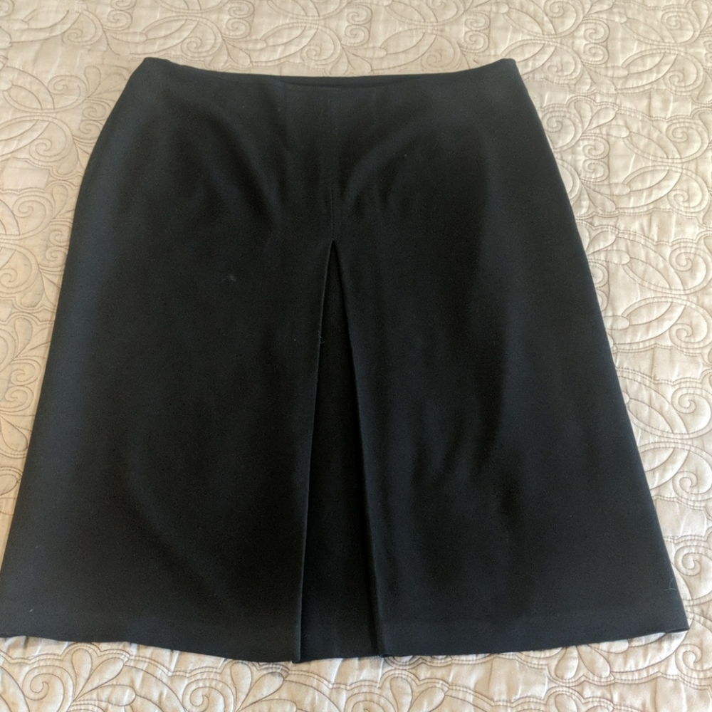 Max Studio skirt with pleat (very soft & yummy)